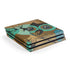 Autumn Owl PlayStation PS4 Skins